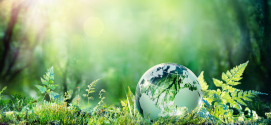sustainable junk removal eco friendly eco friendly junk removal