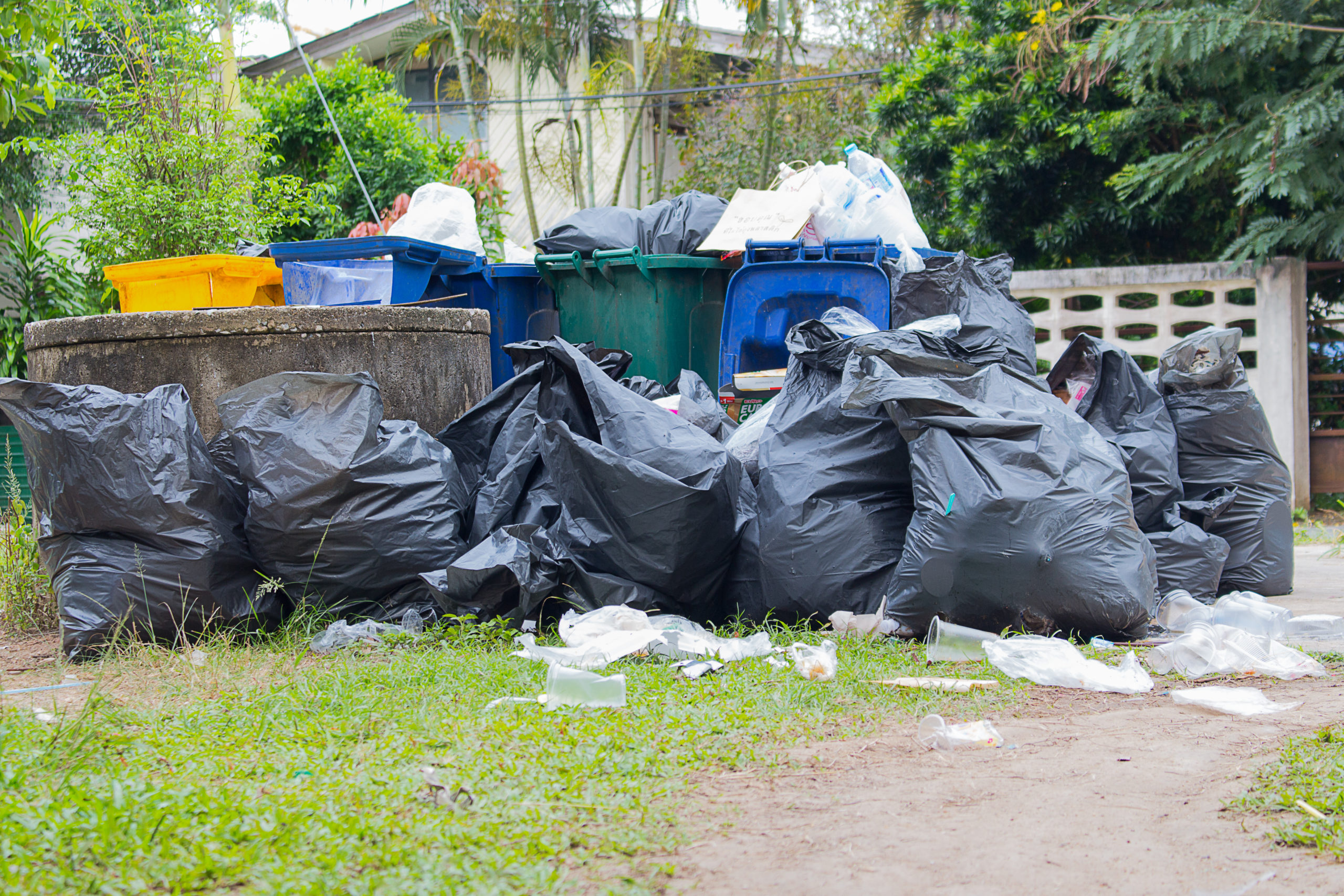 Junk and garbage that needs to be hauled away.