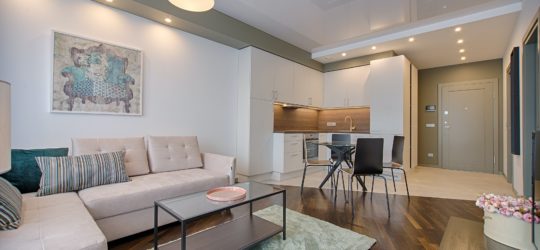 pexels-vecislavas-popa-1643383 A room in an apartment needing the furniture removed